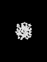 08-30x40-2